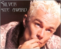 Silver Site Award
